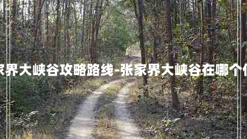 张家界大峡谷攻略路线-张家界大峡谷在哪个位置