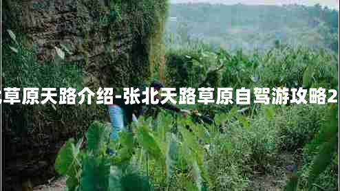 张北草原天路介绍-张北天路草原自驾游攻略2日游