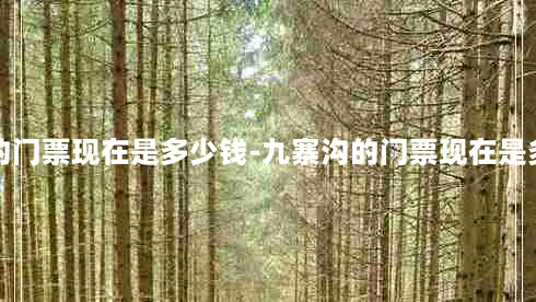 九寨沟的门票现在是多少钱-九寨沟的门票现在是多少钱的