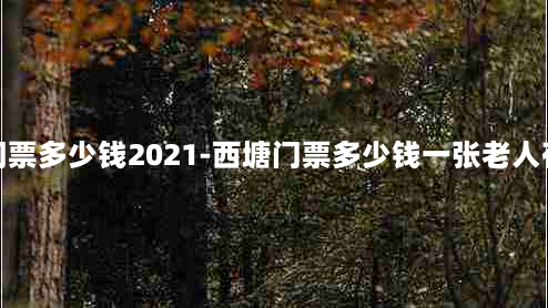 西塘门票多少钱2021-西塘门票多少钱一张老人有优惠