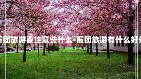 报团旅游要注意些什么-报团旅游有什么好处