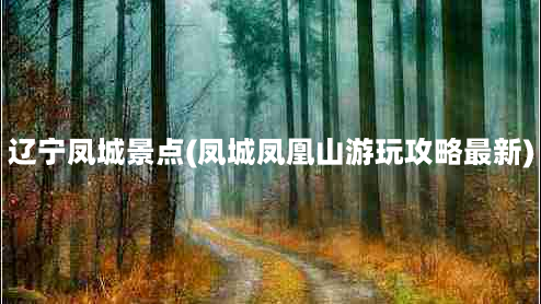 辽宁凤城景点(凤城凤凰山游玩攻略最新)