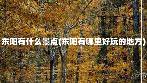 东阳有什么景点(东阳有哪里好玩的地方)