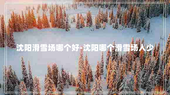 沈阳滑雪场哪个好-沈阳哪个滑雪场人少