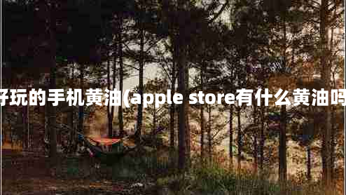 好玩的手机黄油(apple store有什么黄油吗)