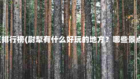 尉犁景点排行榜(尉犁有什么好玩的地方？哪些景点必去？)