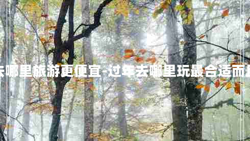 过年去哪里旅游更便宜-过年去哪里玩最合适而且便宜