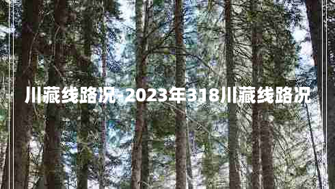 川藏线路况-2023年318川藏线路况