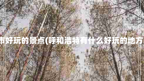 呼市好玩的景点(呼和浩特有什么好玩的地方？)