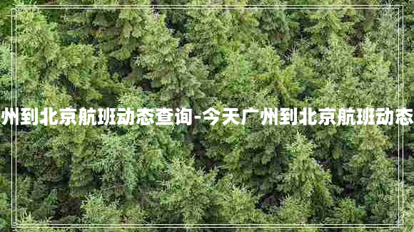 今天广州到北京航班动态查询-今天广州到北京航班动态查询表