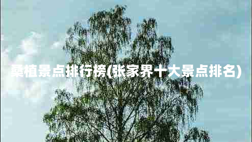 桑植景点排行榜(张家界十大景点排名)