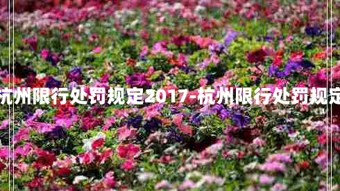 杭州限行处罚规定2017-杭州限行处罚规定