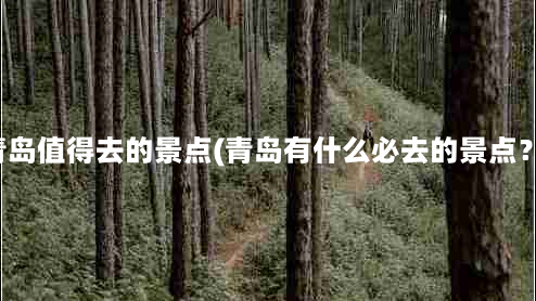 青岛值得去的景点(青岛有什么必去的景点？)