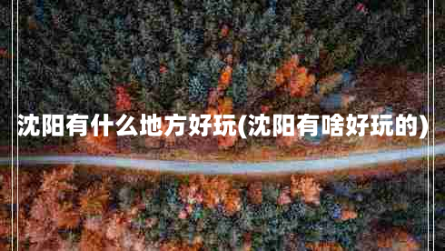 沈阳有什么地方好玩(沈阳有啥好玩的)