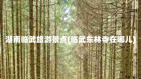 湖南临武旅游景点(临武东林寺在哪儿)