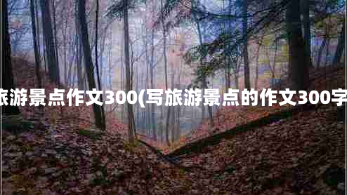 旅游景点作文300(写旅游景点的作文300字)