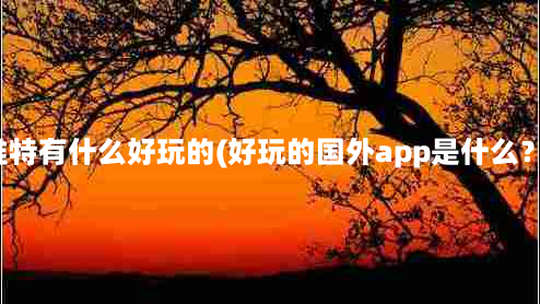 推特有什么好玩的(好玩的国外app是什么？)