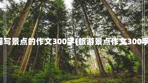 描写景点的作文300字(旅游景点作文300字)