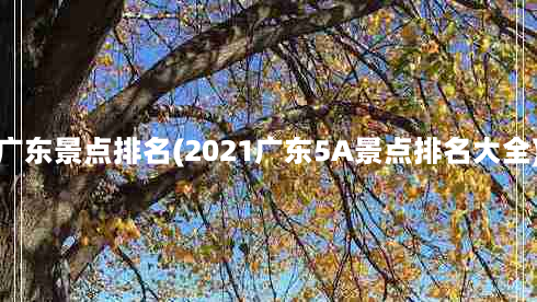 广东景点排名(2021广东5A景点排名大全)