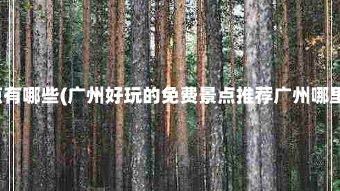 广州免费景点有哪些(广州好玩的免费景点推荐广州哪里好玩又免费)