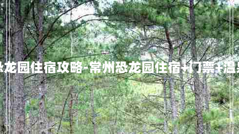 常州恐龙园住宿攻略-常州恐龙园住宿+门票+温泉套餐