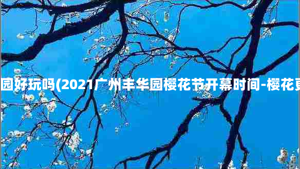 流溪湾丰华园好玩吗(2021广州丰华园樱花节开幕时间-樱花更佳观赏期)