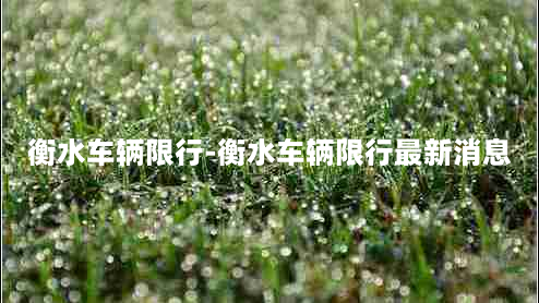 衡水车辆限行-衡水车辆限行最新消息