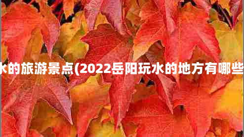 能玩水的旅游景点(2022岳阳玩水的地方有哪些推荐)