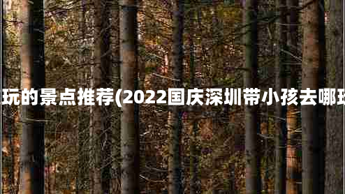 深圳小孩玩的景点推荐(2022国庆深圳带小孩去哪玩比较好)