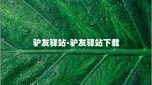 驴友驿站-驴友驿站下载