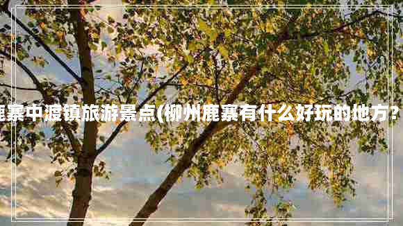 鹿寨中渡镇旅游景点(柳州鹿寨有什么好玩的地方？)