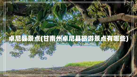 卓尼县景点(甘南州卓尼县旅游景点有哪些)