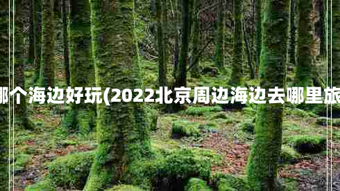 北京周边哪个海边好玩(2022北京周边海边去哪里旅游更好玩)