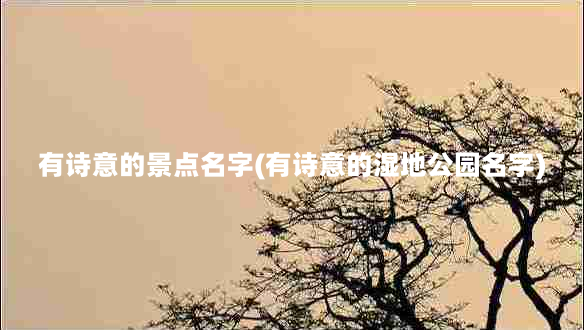 有诗意的景点名字(有诗意的湿地公园名字)