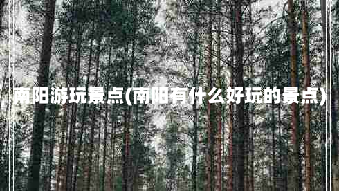 南阳游玩景点(南阳有什么好玩的景点)