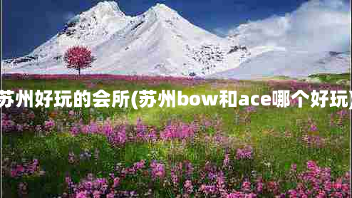 苏州好玩的会所(苏州bow和ace哪个好玩)