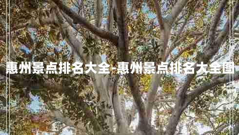 惠州景点排名大全-惠州景点排名大全图