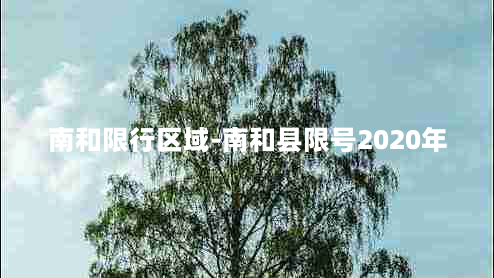 南和限行区域-南和县限号2020年