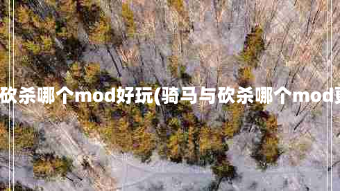 骑马与砍杀哪个mod好玩(骑马与砍杀哪个mod更好玩)