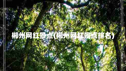 郴州网红景点(郴州网红景点排名)