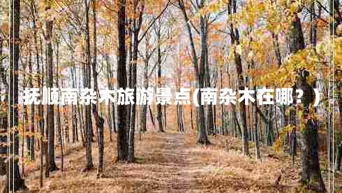 抚顺南杂木旅游景点(南杂木在哪？)