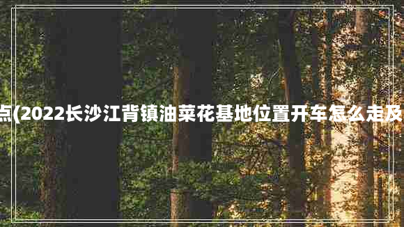 长沙江背镇景点(2022长沙江背镇油菜花基地位置开车怎么走及游玩路线推荐)