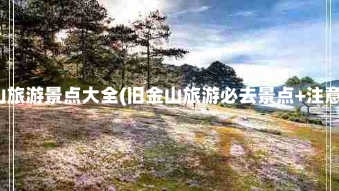 旧金山旅游景点大全(旧金山旅游必去景点+注意事项)