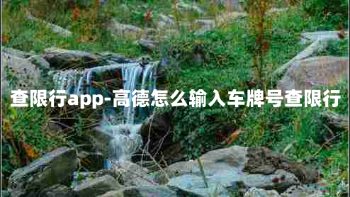 查限行app-高德怎么输入车牌号查限行