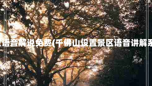 景点语音解说免费(千佛山设置景区语音讲解系统)