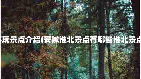 淮北游玩景点介绍(安徽淮北景点有哪些淮北景点推荐)