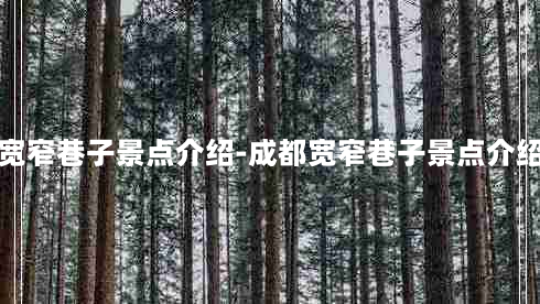 成都宽窄巷子景点介绍-成都宽窄巷子景点介绍文字