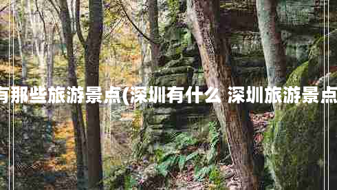 深圳市有那些旅游景点(深圳有什么 深圳旅游景点推荐？)