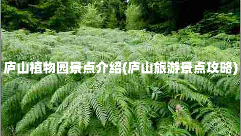 庐山植物园景点介绍(庐山旅游景点攻略)