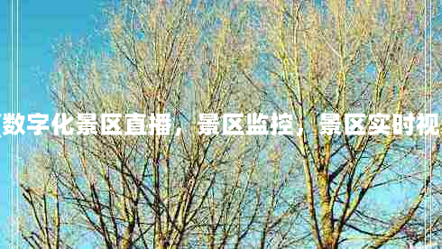 景点直播监控(数字化景区直播，景区监控，景区实时视频怎么实现！)